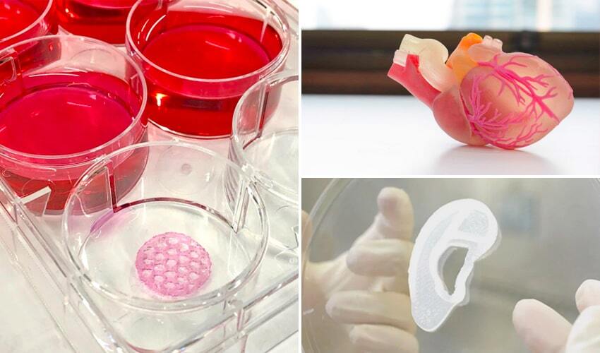 La impresión 3D ya crea órganos biológicos