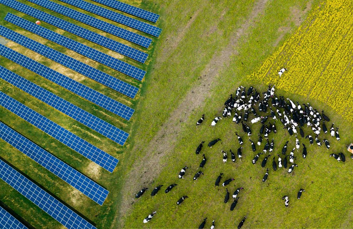 Agrovoltaica la integración de la agricultura y la energía solar