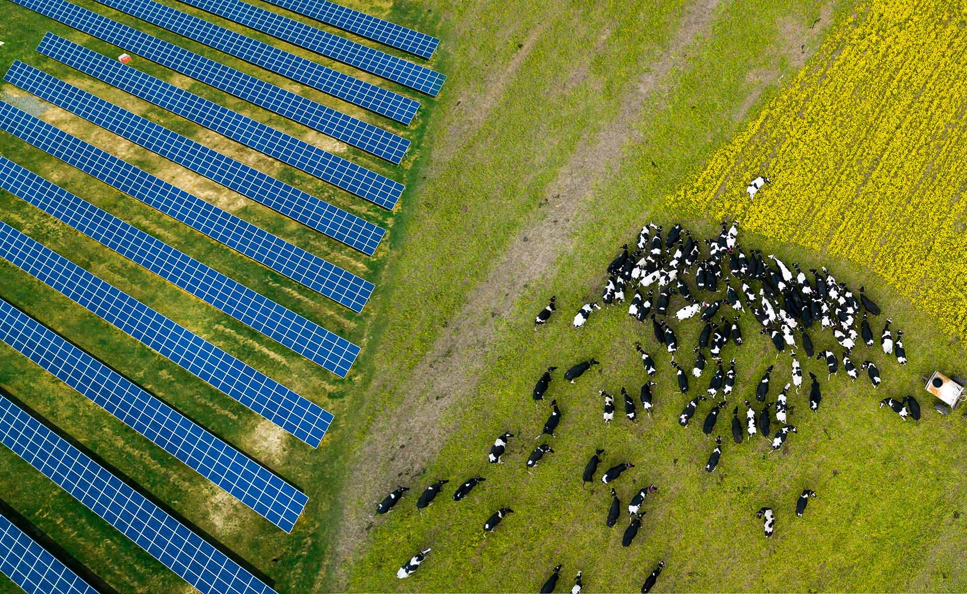  Agrovoltaica la integración de la agricultura y la energía solar